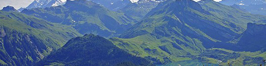 Répartition des races bovines et ovines dans les Massifs : Massif des Alpes