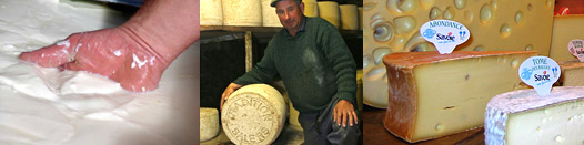 Filières fromages des races des Massifs