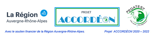 Projet ACCORDEON